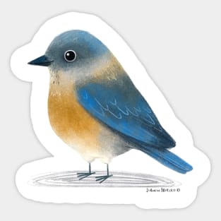 Eastern Bluebird Sticker